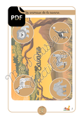 PDF - Les animaux - Fiche 3 "La savane"
