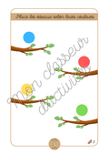 Les couleurs - Fiche 3 "Place les oiseaux selon leurs couleurs"